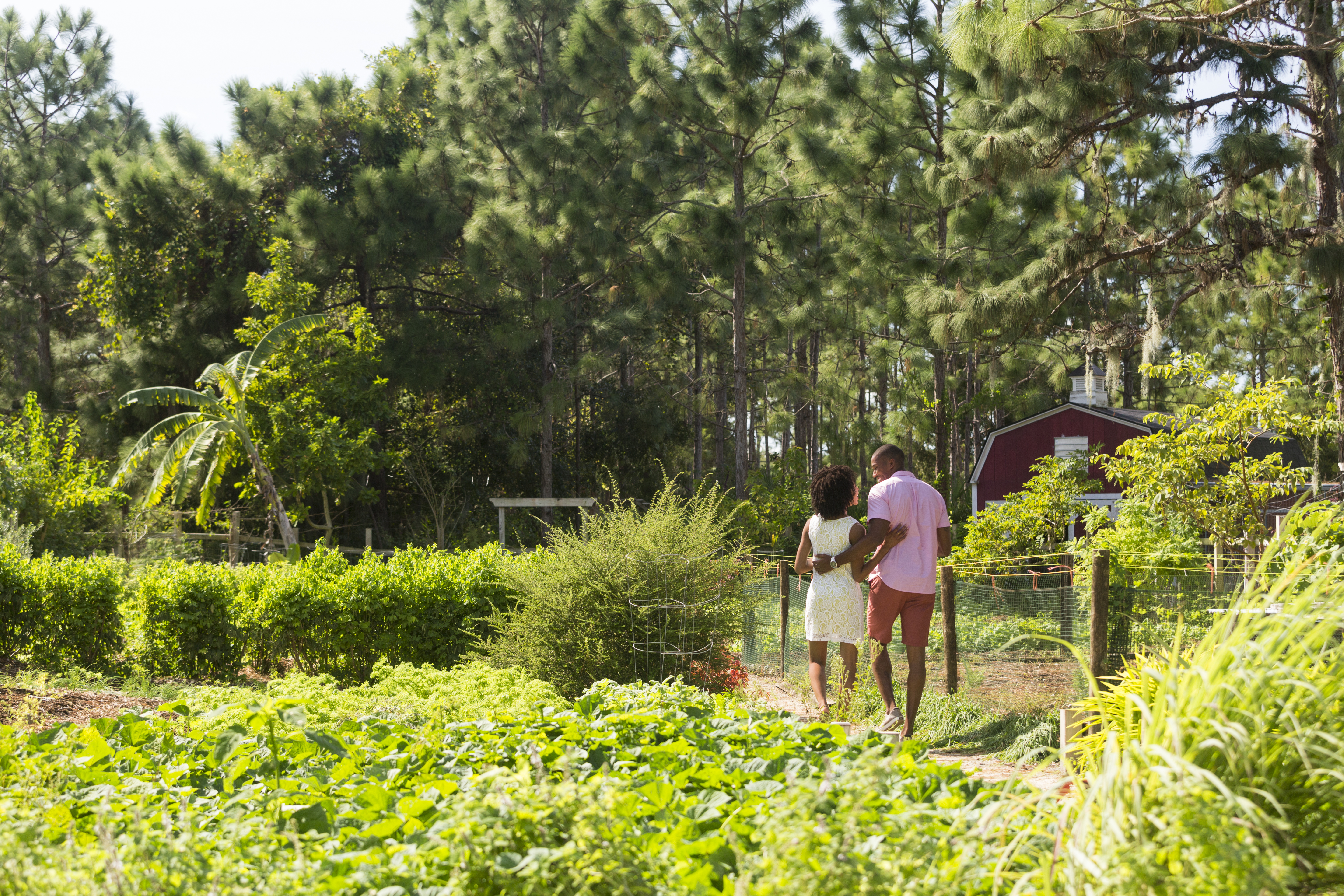 Whisper Creek Farm